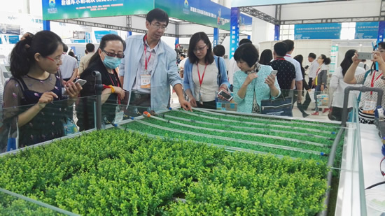 中阿博覽會—中國(寧夏)國際節水展覽會(圖1)