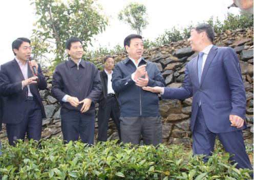 安康富硒茶引爆中國西部最牛茶專業(yè)展會(圖8)