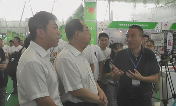 哈爾濱創(chuàng)業(yè)創(chuàng)新博覽會冰城網受關注(圖4)