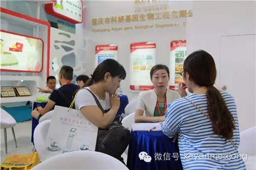 美博會人氣火爆展館——科妍現場分享賺錢模式(圖4)